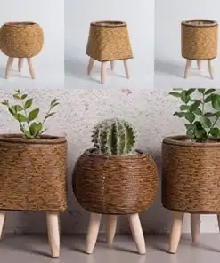 Three Rattan Planter Stands with legs, in varied shapes, hold two leafy plants and a cactus against a plain backdrop. | 28Alchemy