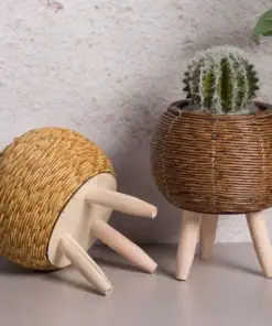 Two Rattan Planter Stands; one tipped over, the other with a cactus. | 28Alchemy