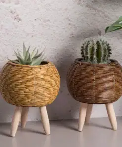 Two Rattan Planter Stands, one with a succulent, the other with a cactus, sitting on a light surface. | 28Alchemy