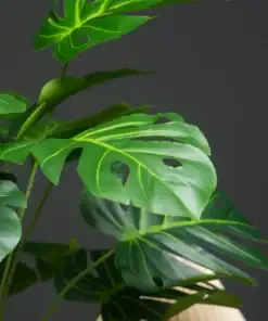 Artificial Monstera Plant - Image 4