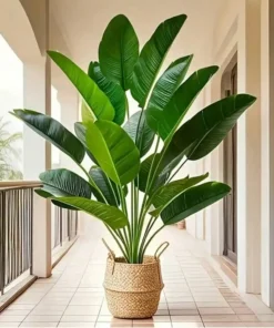 Large potted plant with broad green leaves placed on a tiled balcony with railing and arched entryways. | 28Alchemy