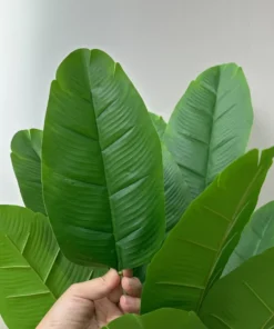 A hand holding a vibrant green tropical leaf in front of several similar leaves against a plain background. | 28Alchemy