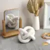 White knot sculpture reflected in a small wooden-framed mirror on a gray surface, with a white vase holding dried plants. | 28Alchemy