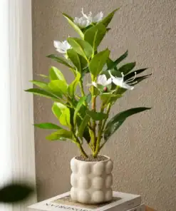A potted plant with green leaves and white flowers sits on stacked books by a textured beige wall and window. | 28Alchemy