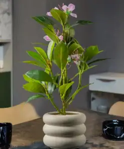 A potted plant with green leaves and pink flowers sits on a table beside black ceramic cups. | 28Alchemy