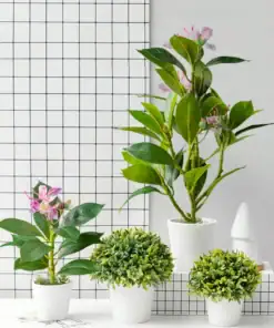 Four small potted plants with green leaves and pink flowers on a white shelf, in front of a tiled background. | 28Alchemy
