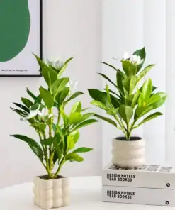 Two small potted plants with green leaves and white flowers on a table, next to stacked books and a green wall art. | 28Alchemy