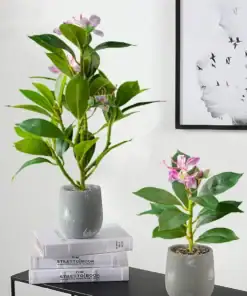 Two potted plants with pink flowers sit on a table; one is placed on stacked books next to a framed wall art. | 28Alchemy