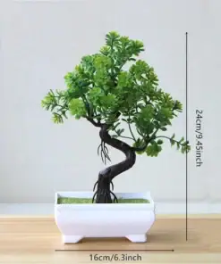 Miniature bonsai tree in a white pot on a table, with height and width measurements shown: 24cm tall, 16cm wide. | 28Alchemy