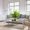 Modern living room with a large green fern on a round coffee table, white sofa, and neutral decor. | 28Alchemy