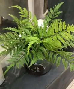 A lush green fern with feathery leaves in a dark ceramic pot on a gray surface indoors. | 28Alchemy