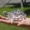 A person holds a small, clear glass turtle figurine in their hand outdoors, with grass in the background. | 28Alchemy