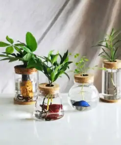 Hydroponic Plants Glass Vase Propagation Station with Wooden Stand - Image 6