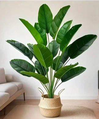A large potted plant with broad green leaves sits in a woven basket on a light-colored floor in a modern living room. | 28Alchemy