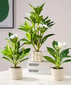 Three potted plants with green leaves and white flowers sit on a white table next to stacked books and wall art in the background. | 28Alchemy
