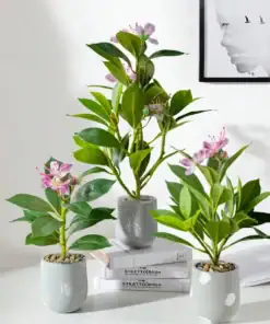 Three small potted plants with pink flowers on stacked books, beside a black and white framed bird art print. | 28Alchemy