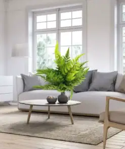 Modern living room with a large green fern on a round coffee table, white sofa, and neutral decor. | 28Alchemy