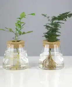 Alternative view of Hydroponic Plants Glass Vase Propagation Station with Wooden Stand
